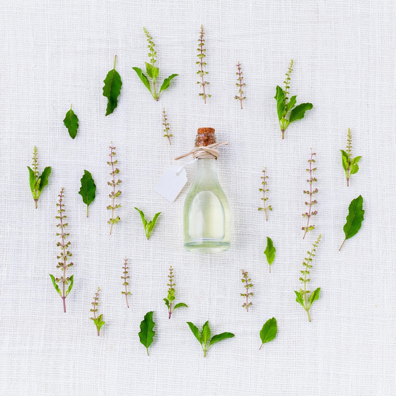 15 Fresh Ways to Use Cypress Essential Oil at Home