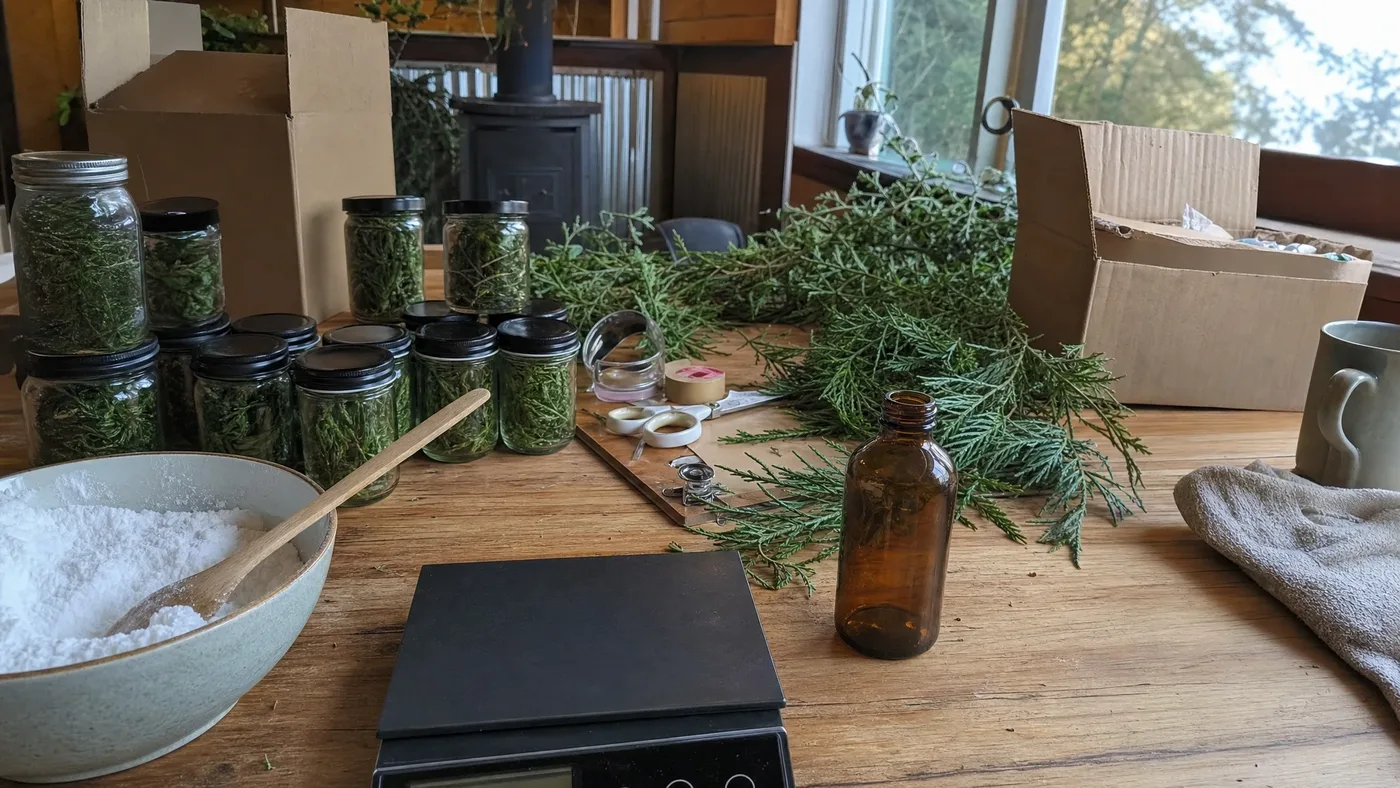 A Buyer's Guide to Cypress Oil for Natural Deodorant Makers