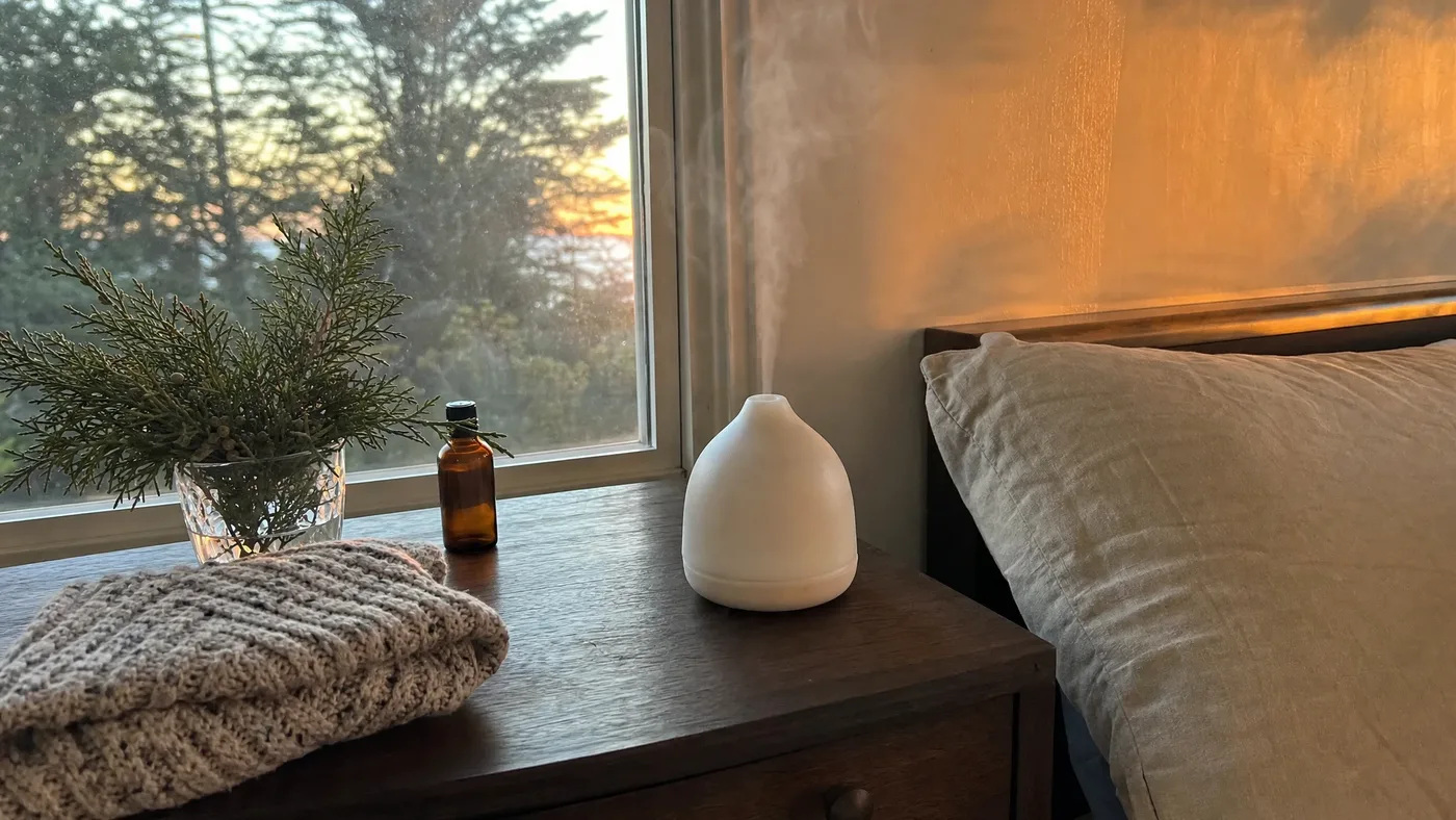 A Cypress Bedtime Wind-Down: Diffusion Timing for Calm Evenings