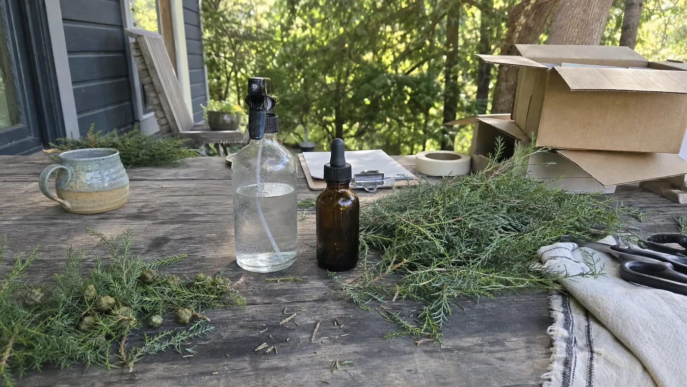 Cypress Hydrosol vs Cypress Essential Oil: Which One Do You Actually Need?