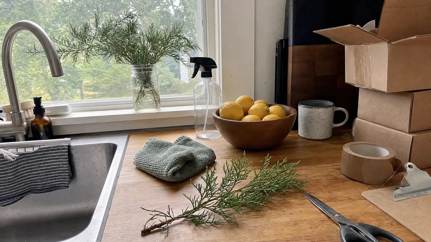 DIY Cypress All-Purpose Cleaning Spray: A Recipe That Respects the Limits