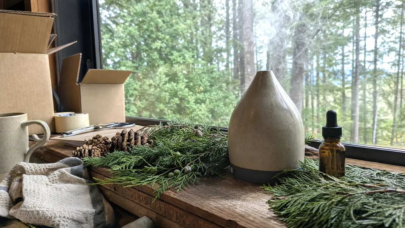 Forest Diffuser Blends: Cypress, Cedarwood, Fir, and Friends
